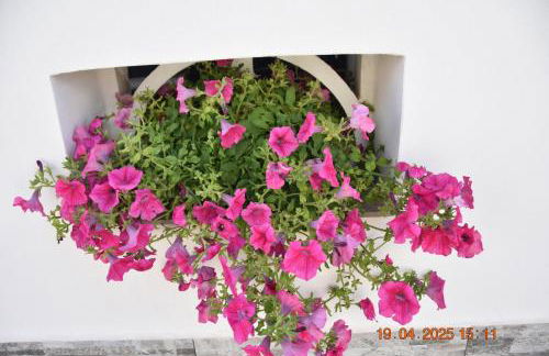 Casa Vacanze Giorgia - Foto 28