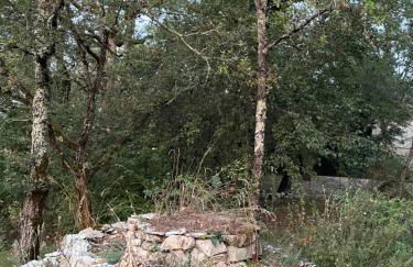 Le Mas d'Angèle - Foto 44