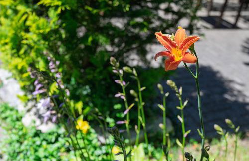 ZŁOTY OGRÓD - Foto 20