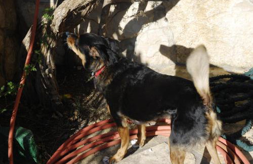 Apartments Silvana - Foto 9