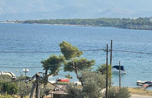 Maison De La Mer - Foto 4