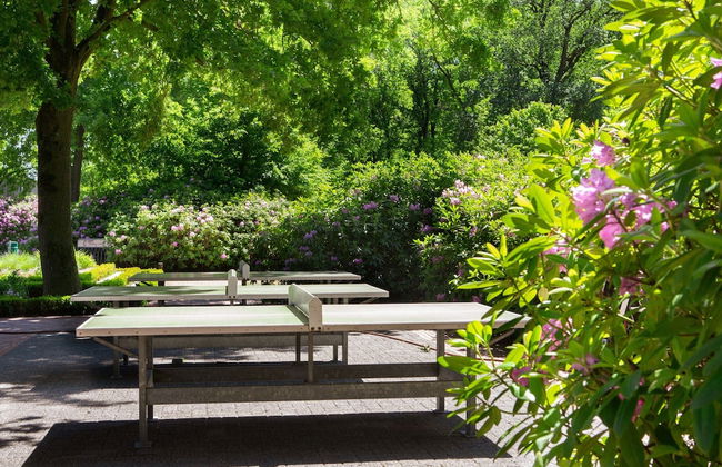 Cozy Tiny House With a Nice Terrace Near Eindhoven - Foto 26