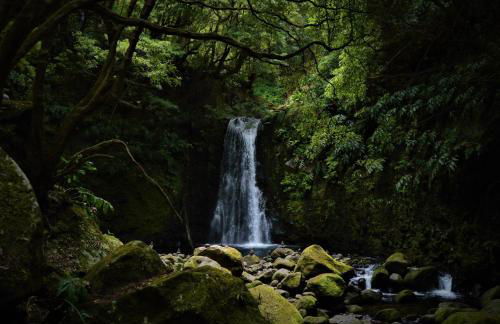 Casa do vermelho - Photo 17