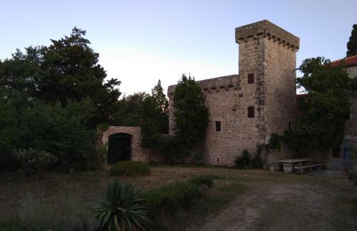 Jankovich Castle - Photo 18