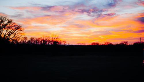Hobbit Treehouse with waterfall on the Brazos River! 350 acres! Tubing! Petting zoo! - Foto 5