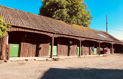 Whiteley’s Cottages studio - Foto 13