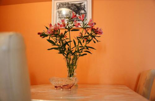 Apartments Mladinić - Foto 55