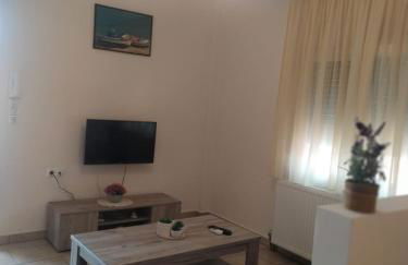 Apartment Milonas Antoni - Photo 44