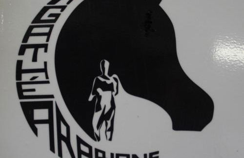 Le Gite de la Prunette - Foto 21