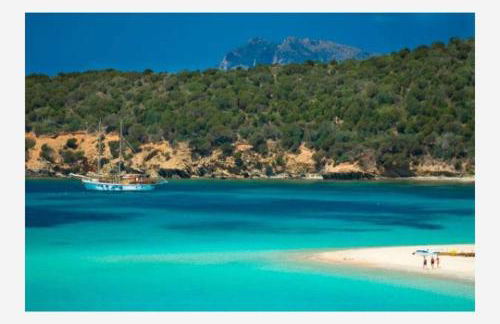 Rose e fiori - Foto 38