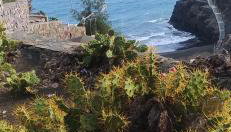 Gran Ventanal El Crucero renovado frente al Mar - Foto 4