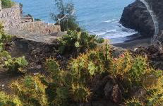 Gran Ventanal El Crucero renovado frente al Mar - Foto 4