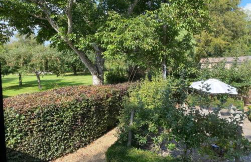 Avon Turn View - Foto 18