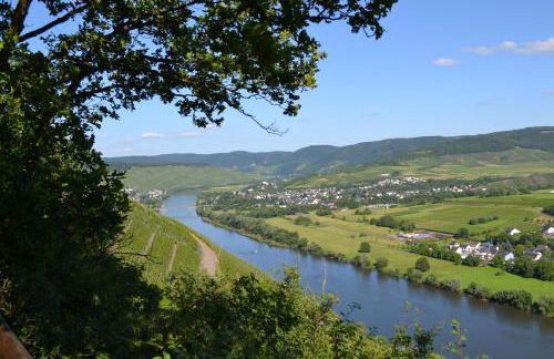 Weingut Mathy-Schanz - Foto 36