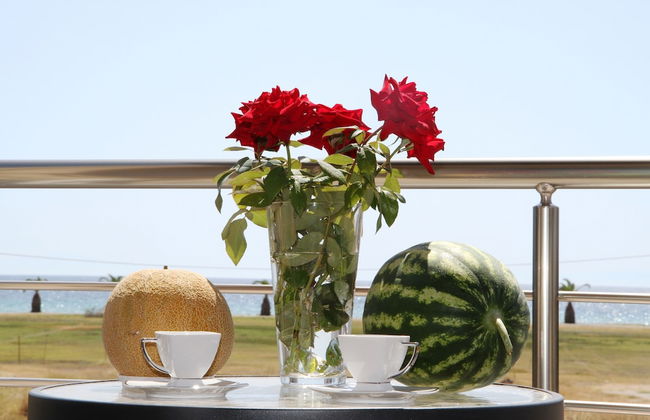 AM Beach House near Sea - Photo 9