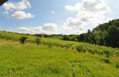 Il Sogno Tra I Vigneti - Foto 30