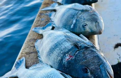 Beautiful Paradise for You - Foto 80