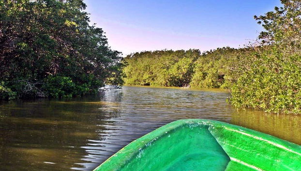 Balade en bateau sur la lagune de Tres Palos