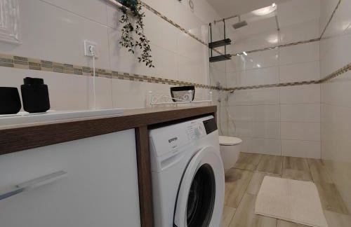 Villa Mila Rovinj - Photo 40