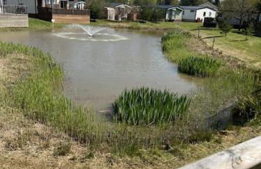 Elora's Dream - Foto 50