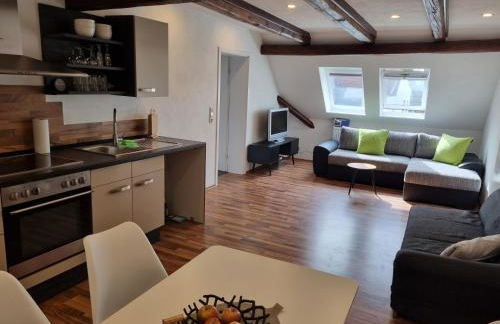 Ferienwohnung „Schau ins Frankenland“ - Foto 17