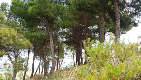 Casa Rural MONTE VERDE - Foto 4