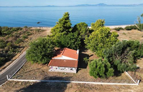 The Beach House - Foto 1