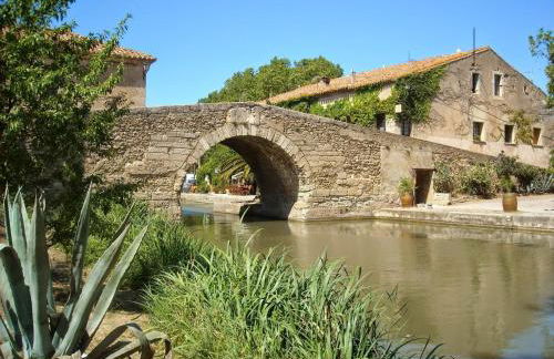 Louis XIII, Le Somail. - Foto 71