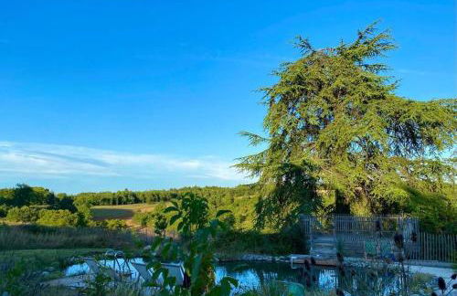 Le cottage des Acacias - Foto 8