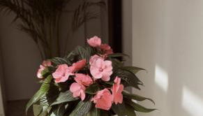 Magma centotre Pompei - Foto 3