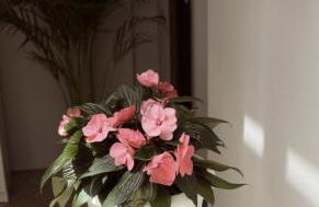 Magma centotre Pompei - Foto 3