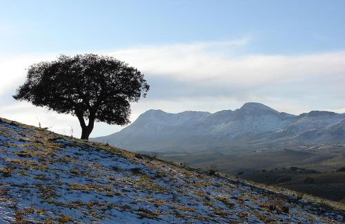 CASAS RURALES CORTIJO LEONTINO - Foto 55