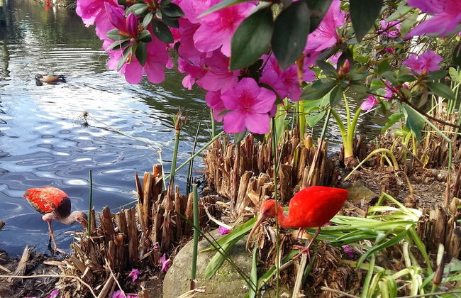 Moon Shine on Whiskey Creek - Foto 55