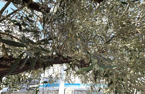 Villa Beta Sea View With Pool - Foto 37