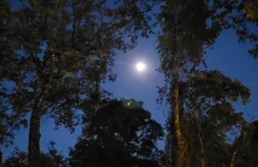 CHALÉ NAMATA 201 - Foto 33