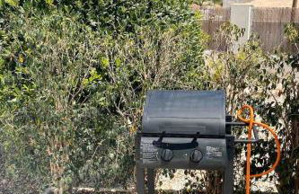 Studio Apartment in Beautiful Chalet, Finca FAZ - Foto 28