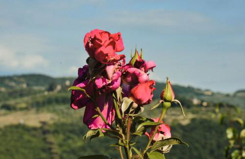 Appartamento a Villa Rosa - Foto 39