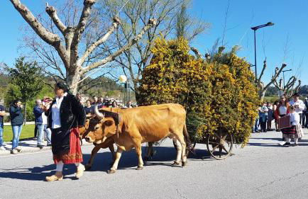 Apartamento C&C - Foto 44