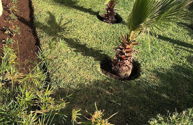 Villa Kamil - Foto 14