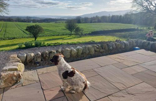 Disdow House - Foto 73