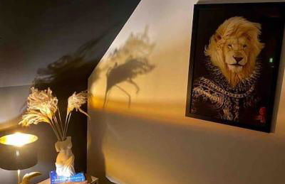 Emerald Lake House - Foto 40