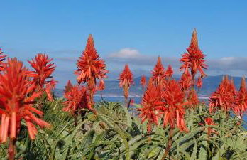 Brisa Vis Studio - Photo 31