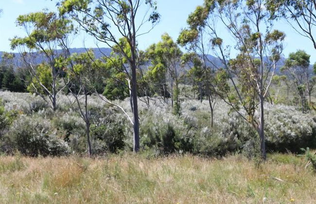 Wetland View Park - Photo 10