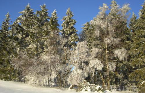 Villa Edelstein - Foto 20