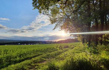 Rennerhof-Siebeneichen Fewo Frechdachs - Foto 17