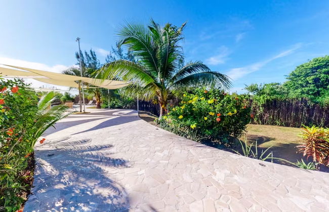 Alterhome Turtle Studio - Foto 24