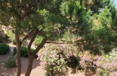 La Caravelle entre Plage et Centre Ville - Foto 21