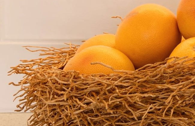 Duplex Apartment - Houtbay - Photo 7