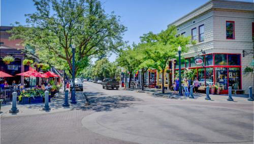 Red Ivy #5 - Photo 5, Other