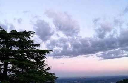 Il Parco e gli Affreschi - Foto 68